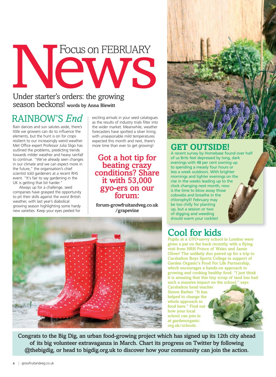 Grow Your Own Preview Pages