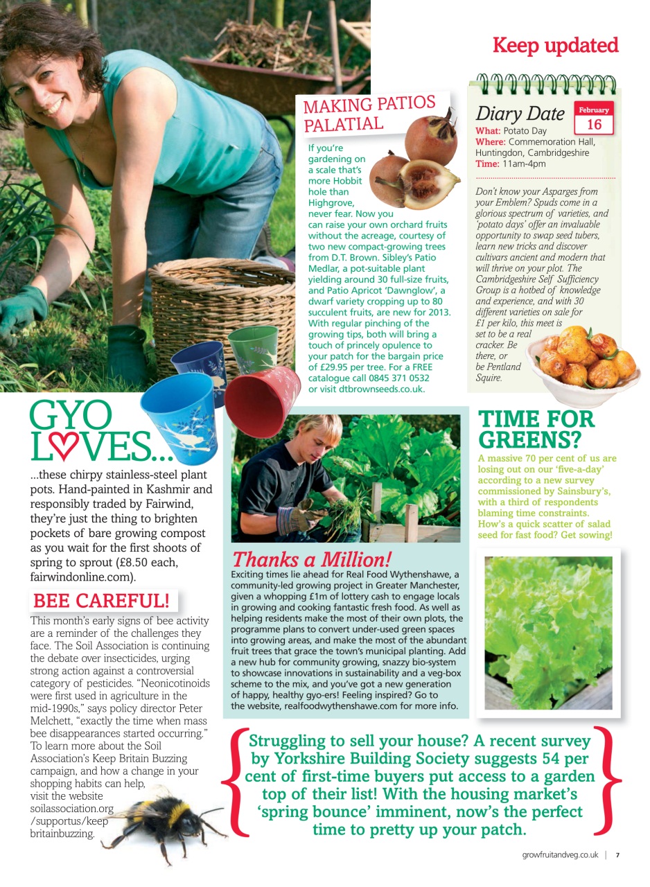 Grow Your Own Preview Pages