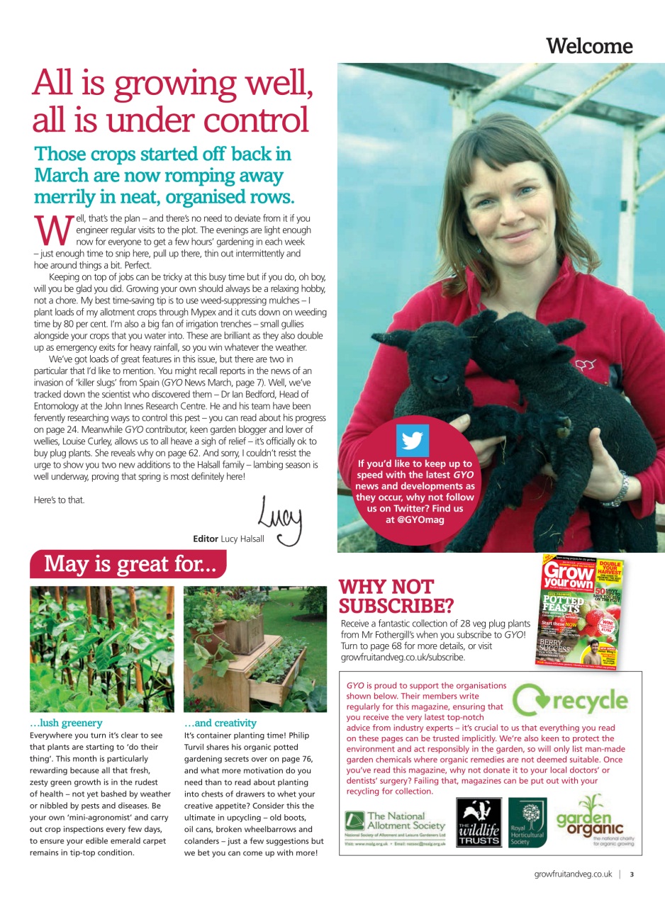 Grow Your Own Preview Pages