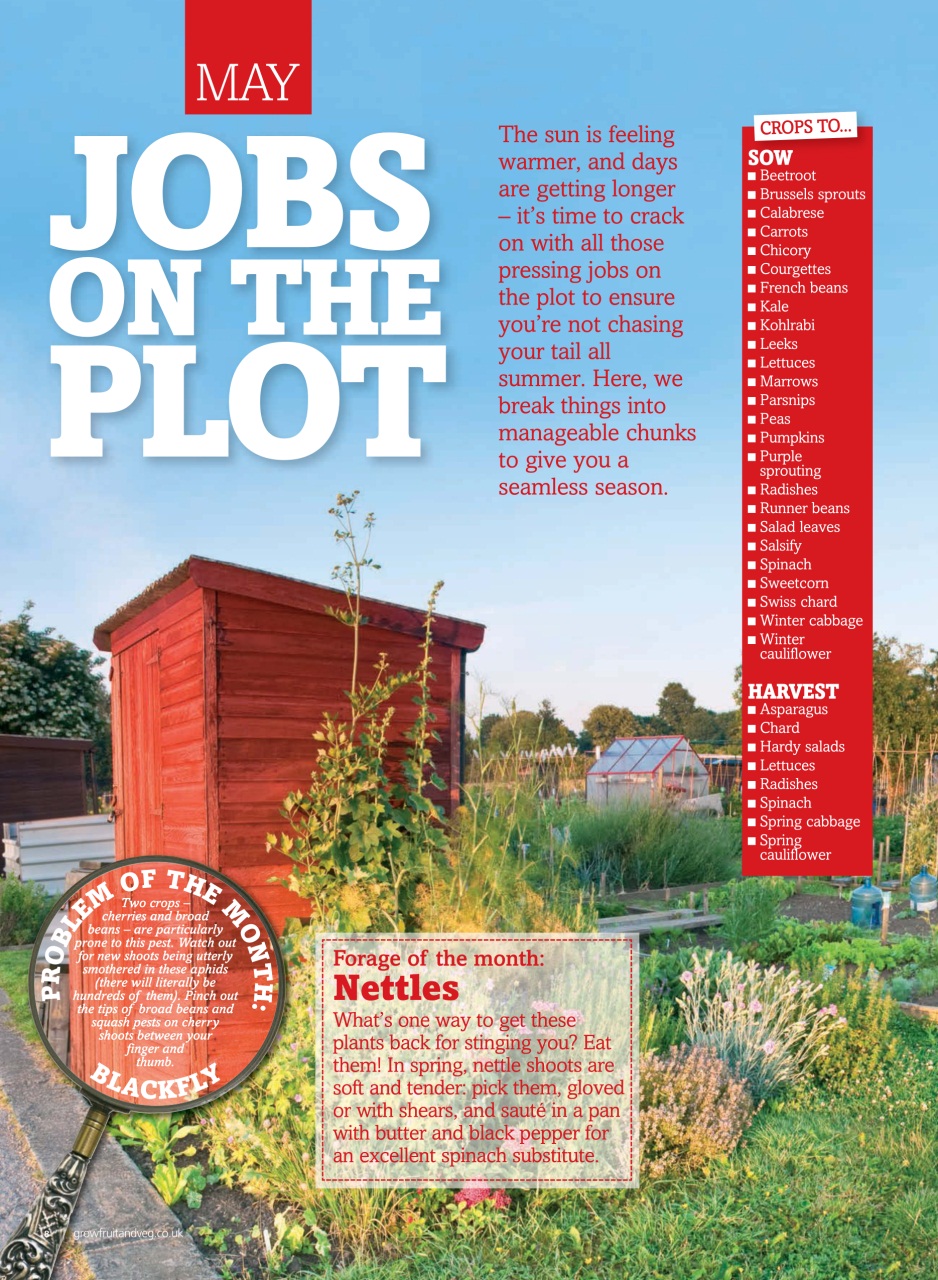 Grow Your Own Preview Pages