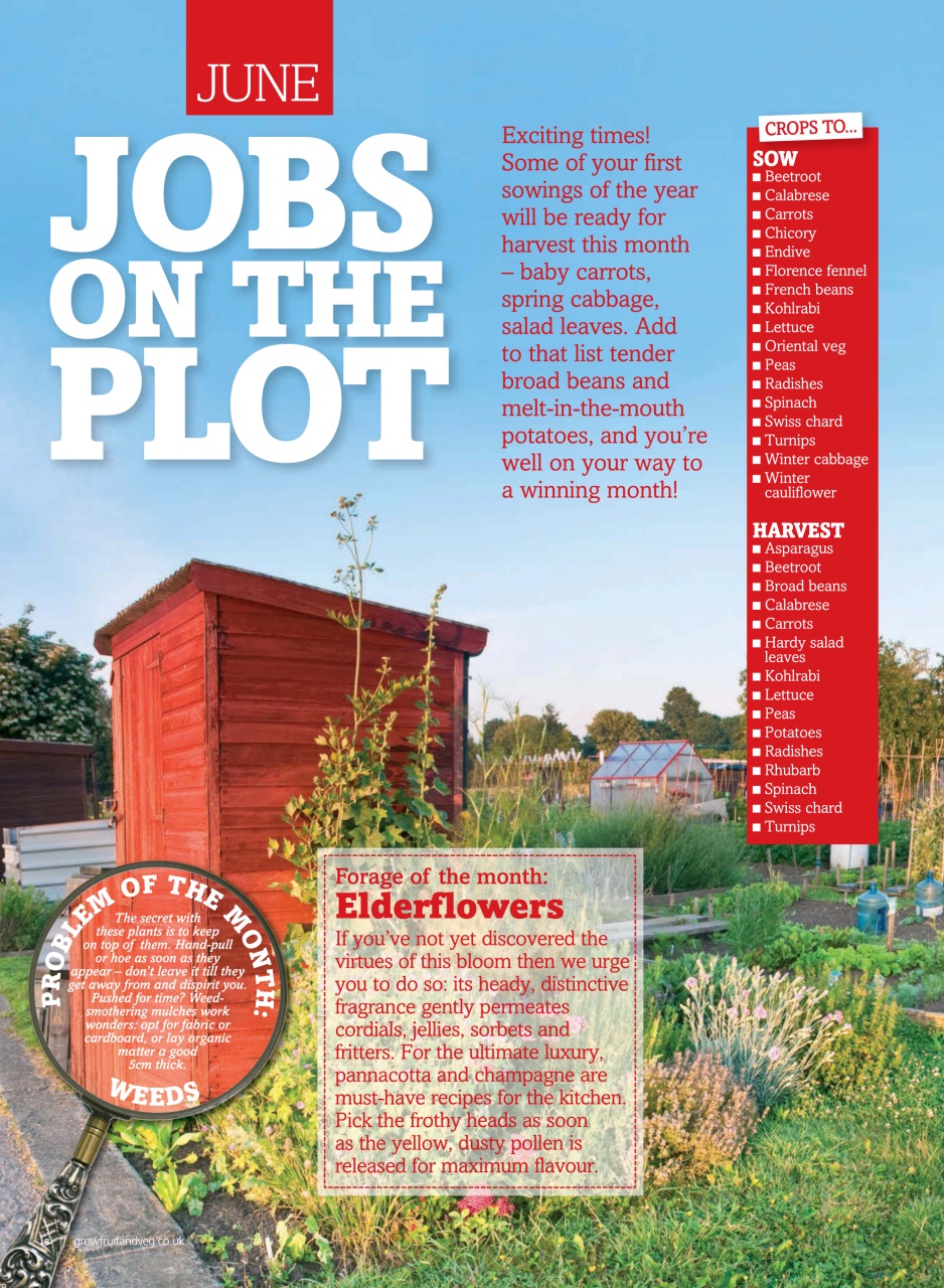 Grow Your Own Preview Pages