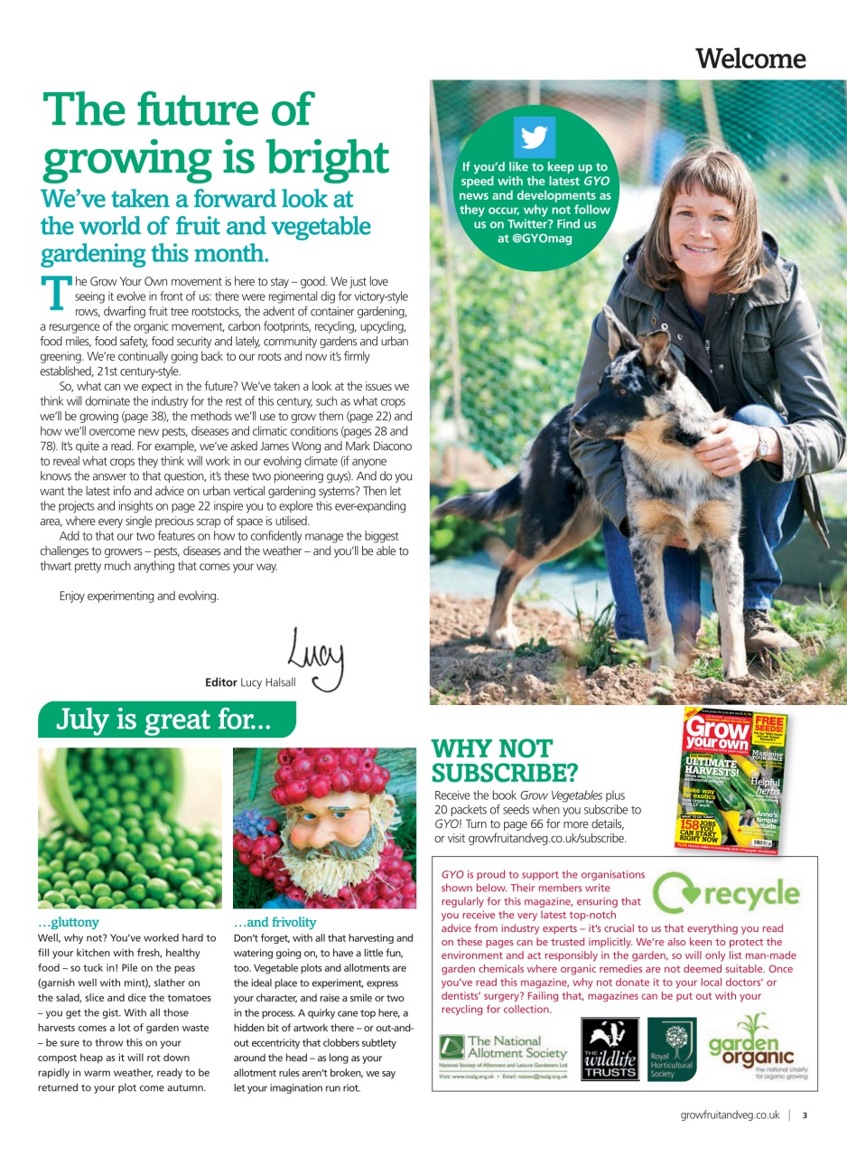Grow Your Own Preview Pages