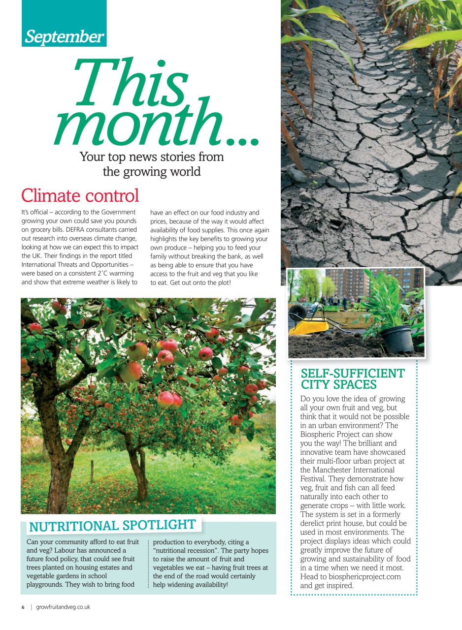 Grow Your Own Preview Pages