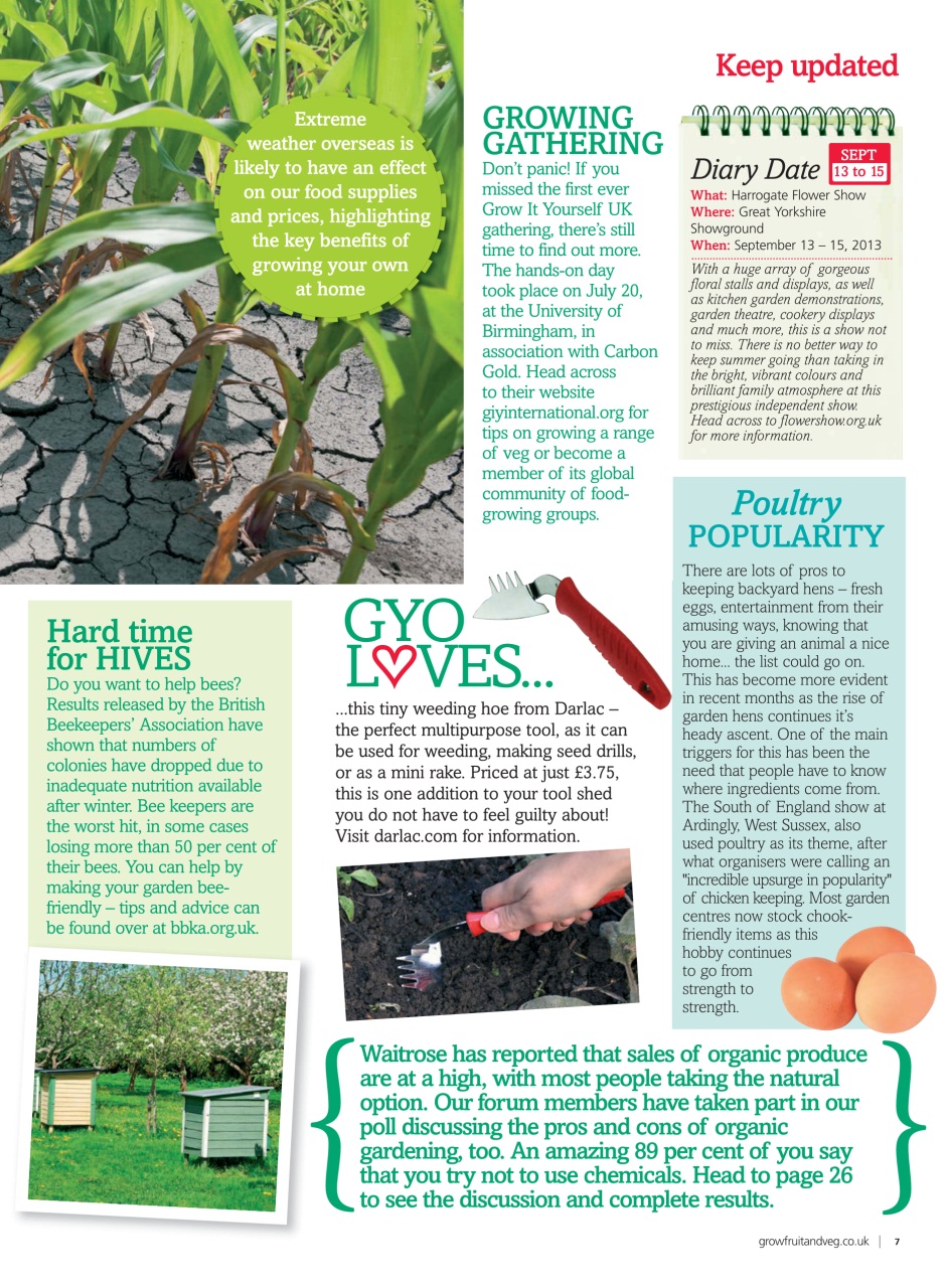 Grow Your Own Preview Pages