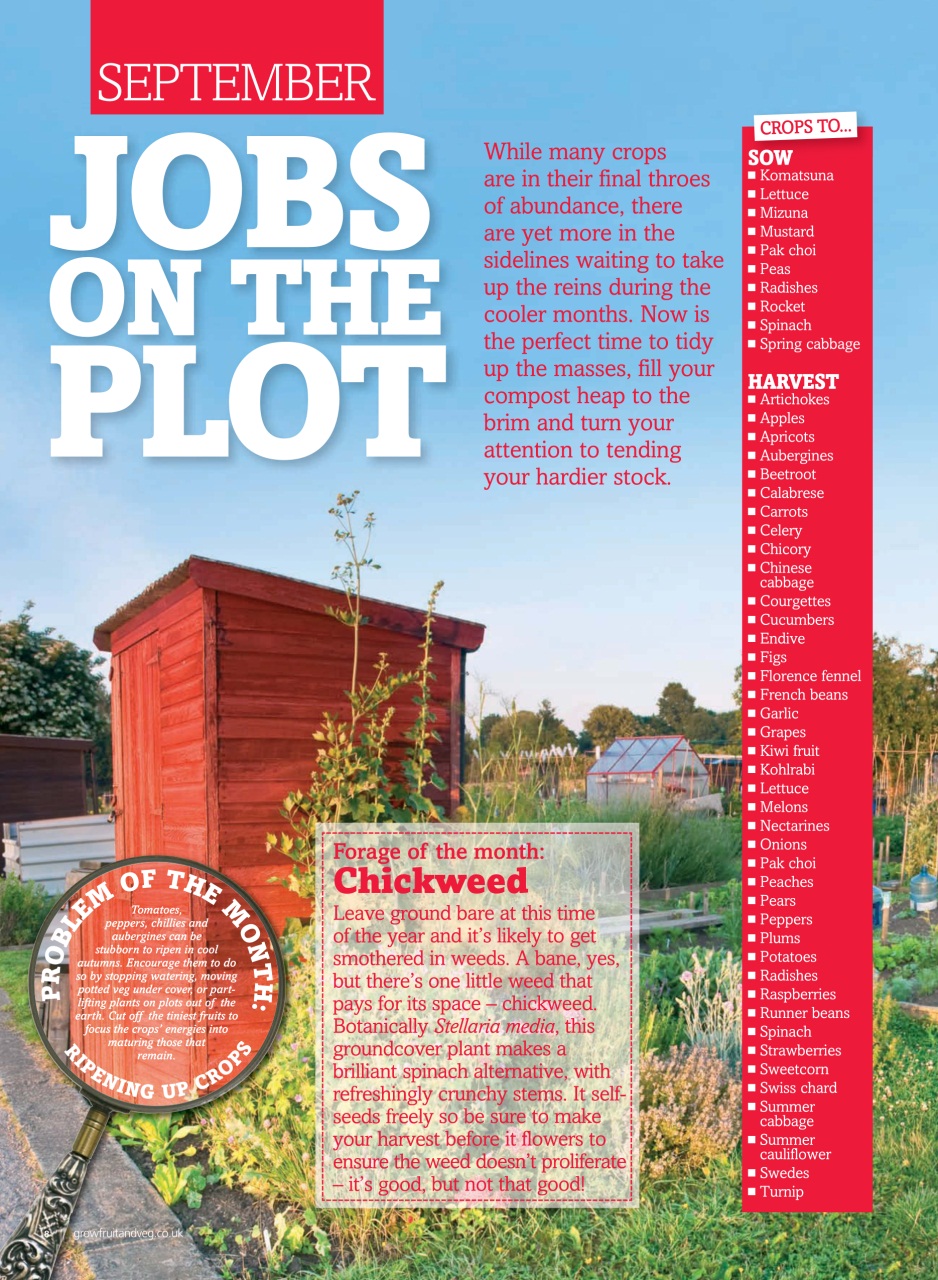 Grow Your Own Preview Pages