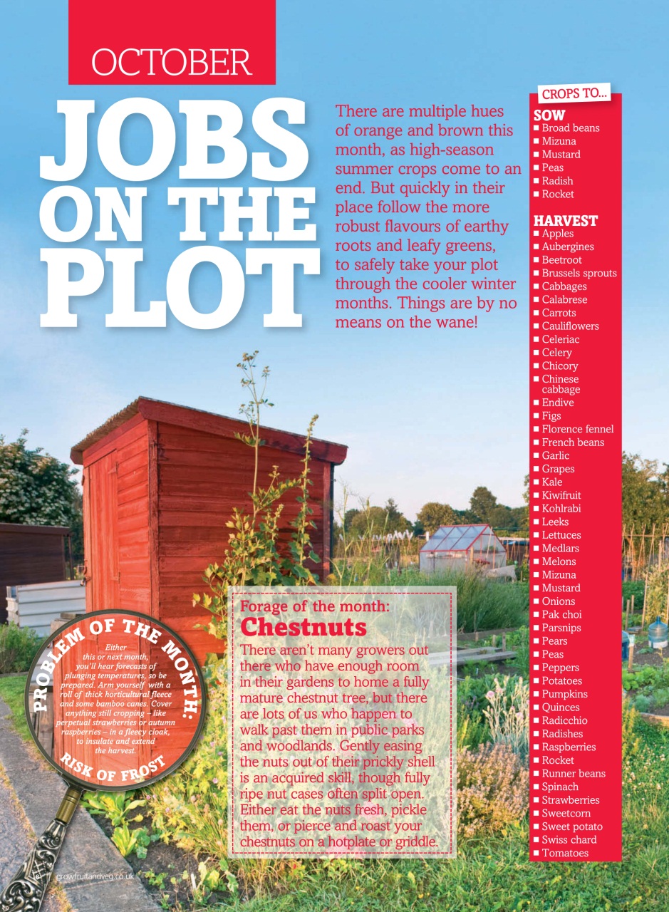 Grow Your Own Preview Pages