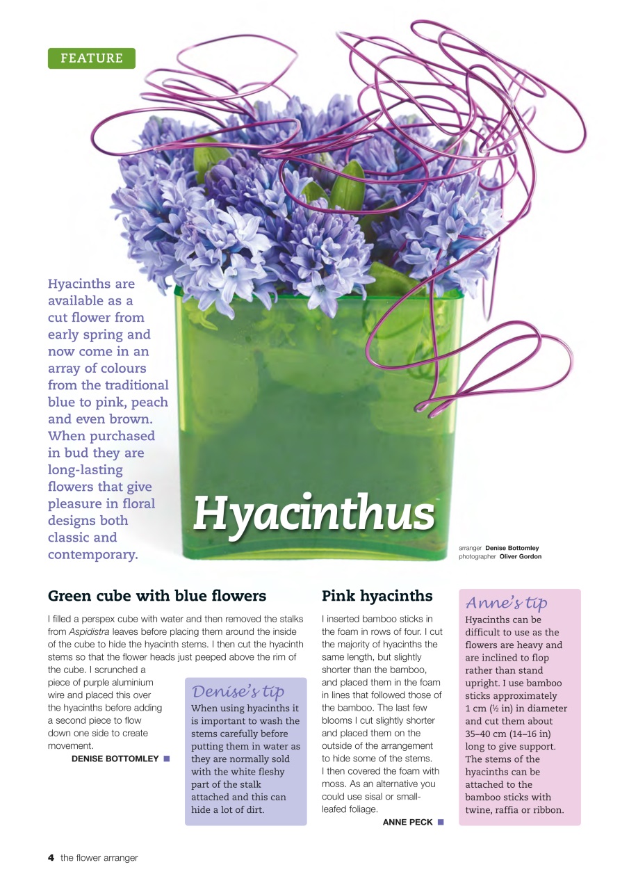 The Flower Arranger Preview Pages