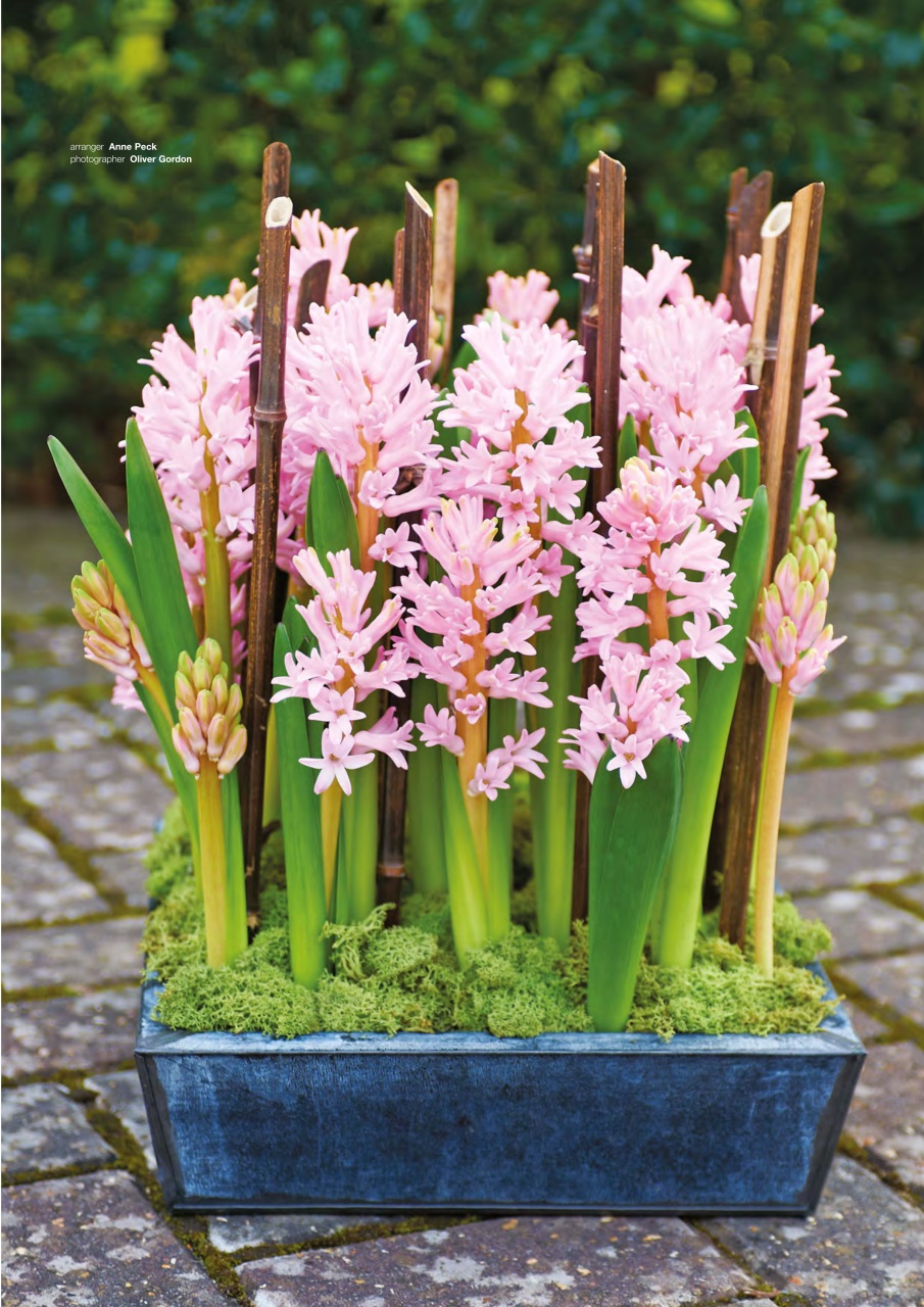 The Flower Arranger Preview Pages