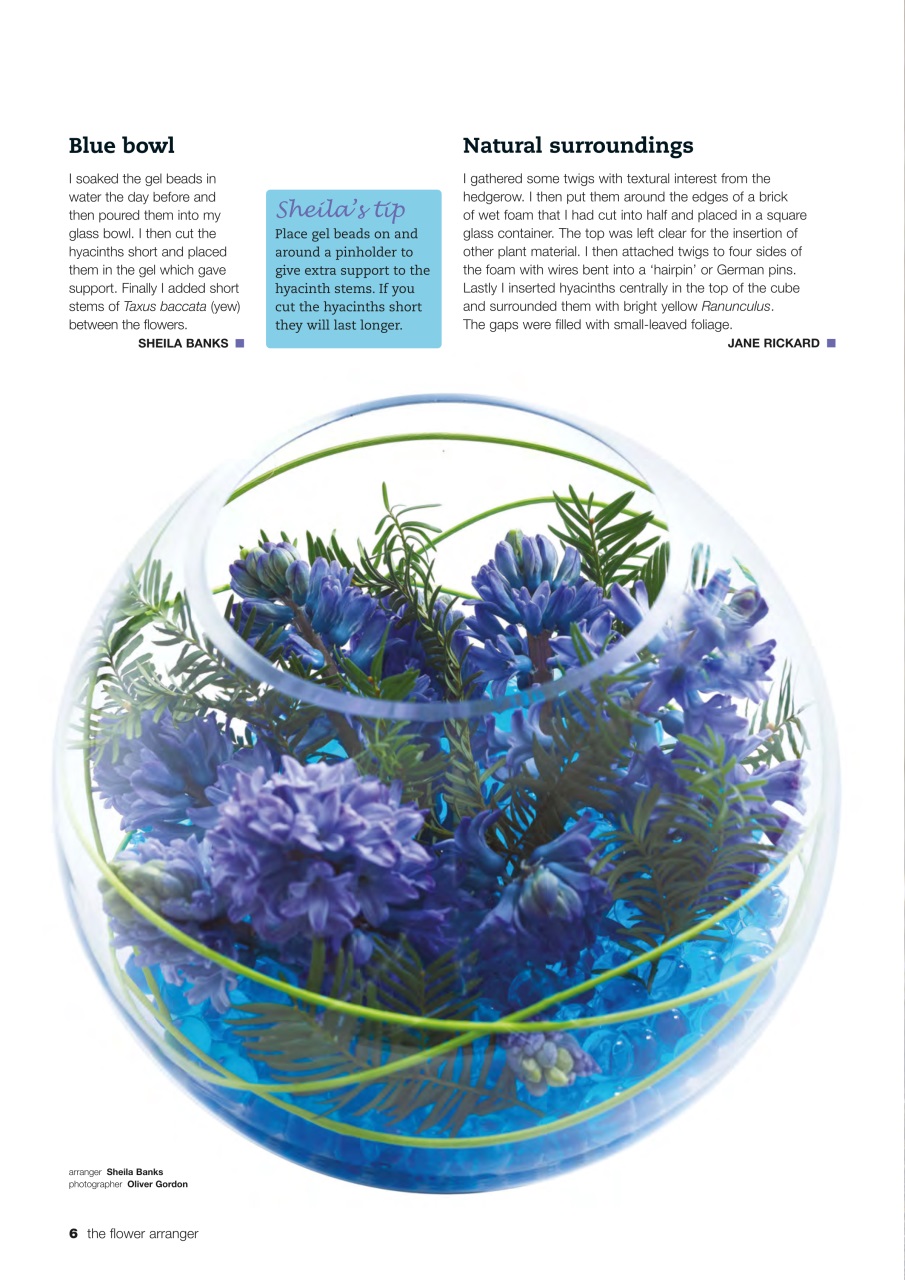 The Flower Arranger Preview Pages