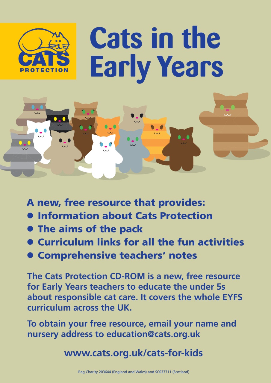 Teach Early Years Preview Pages