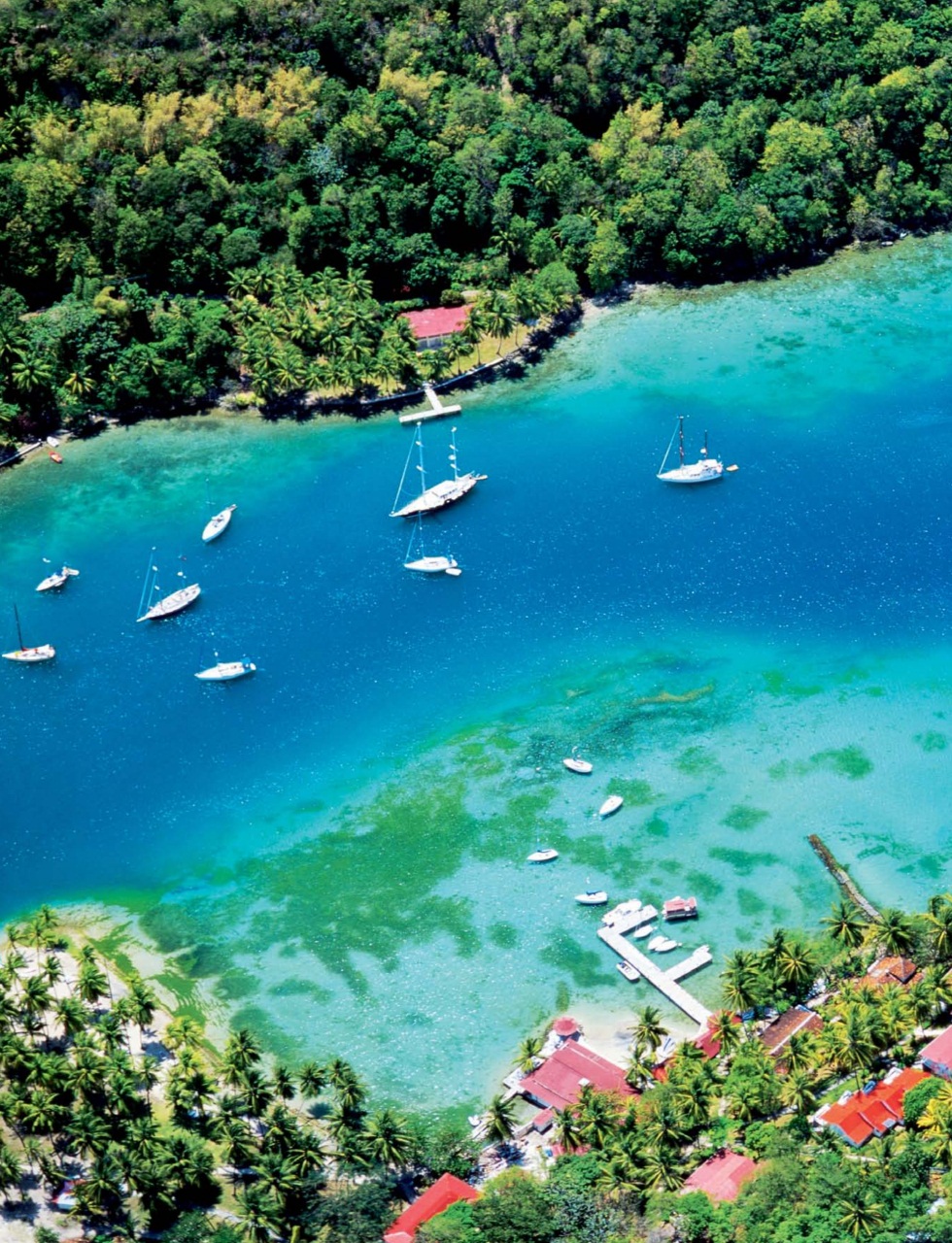 Cruise & Travel Preview Pages