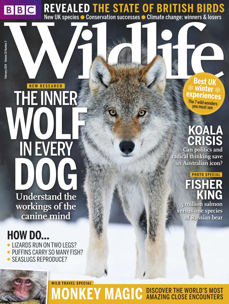 BBC Wildlife Magazine Preview Pages