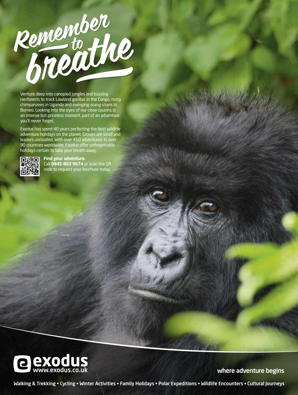 BBC Wildlife Magazine Preview Pages
