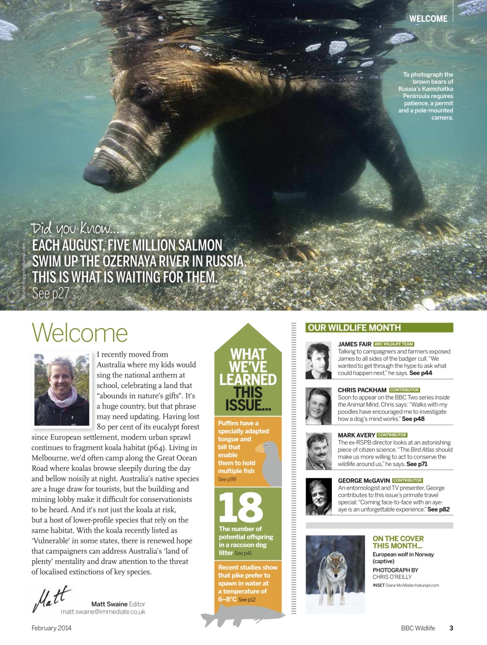 BBC Wildlife Magazine Preview Pages