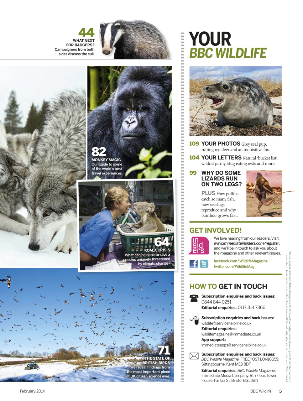 BBC Wildlife Magazine Preview Pages