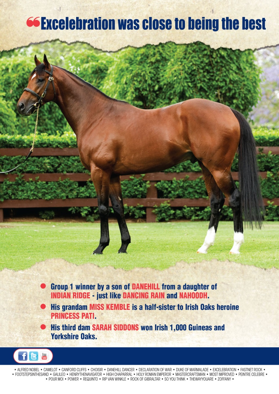 The Owner Breeder Preview Pages