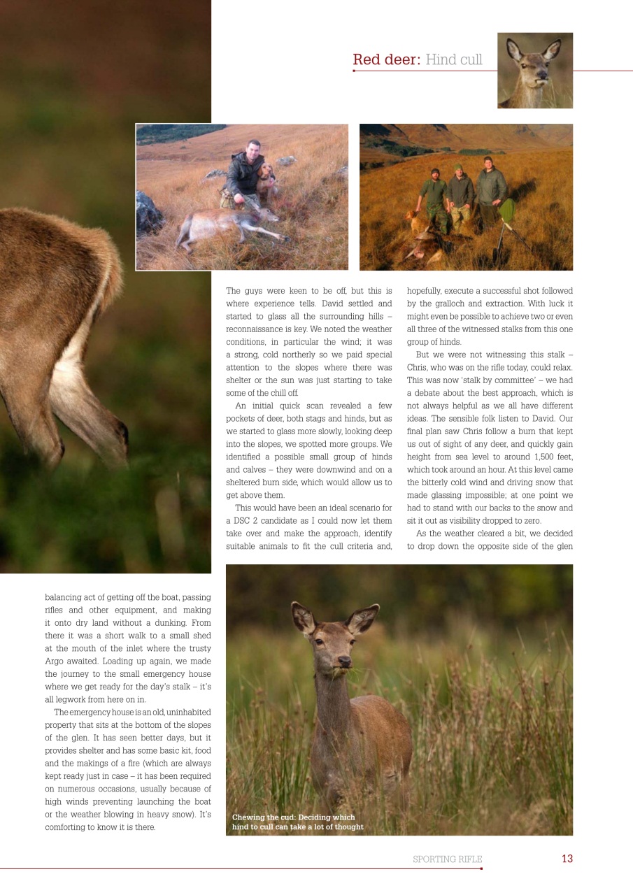 Sporting Rifle Preview Pages