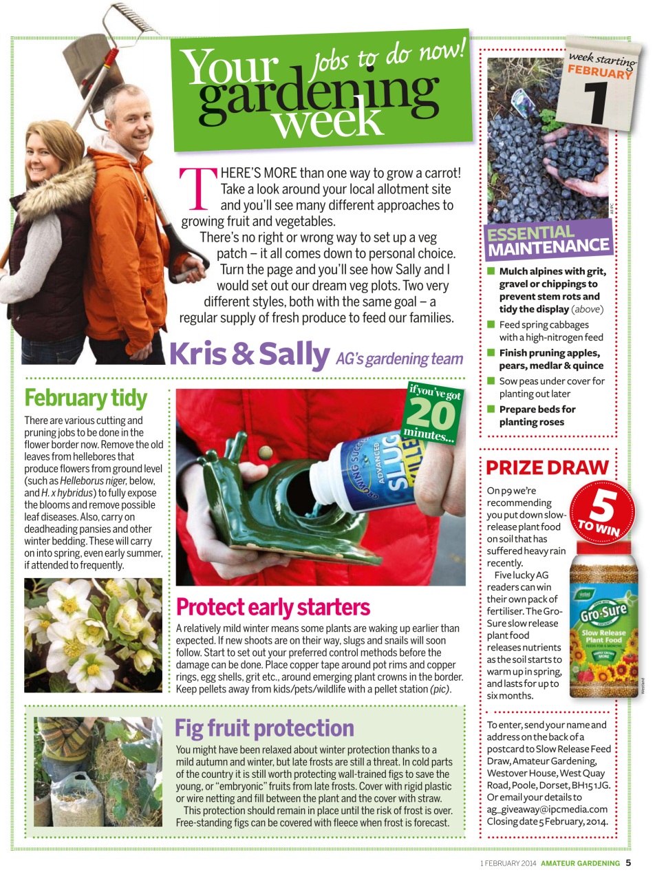 Amateur Gardening Preview Pages