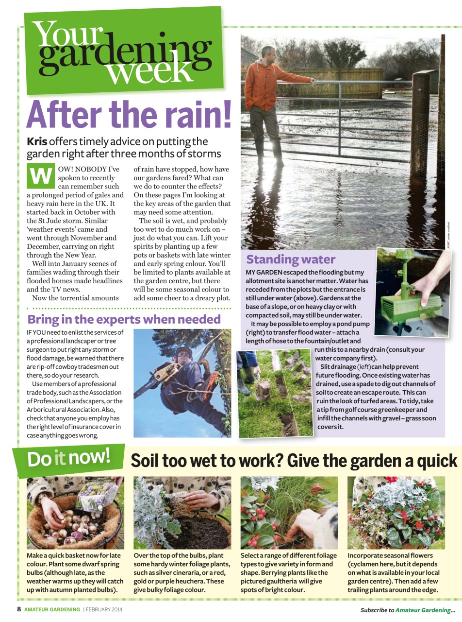 Amateur Gardening Preview Pages
