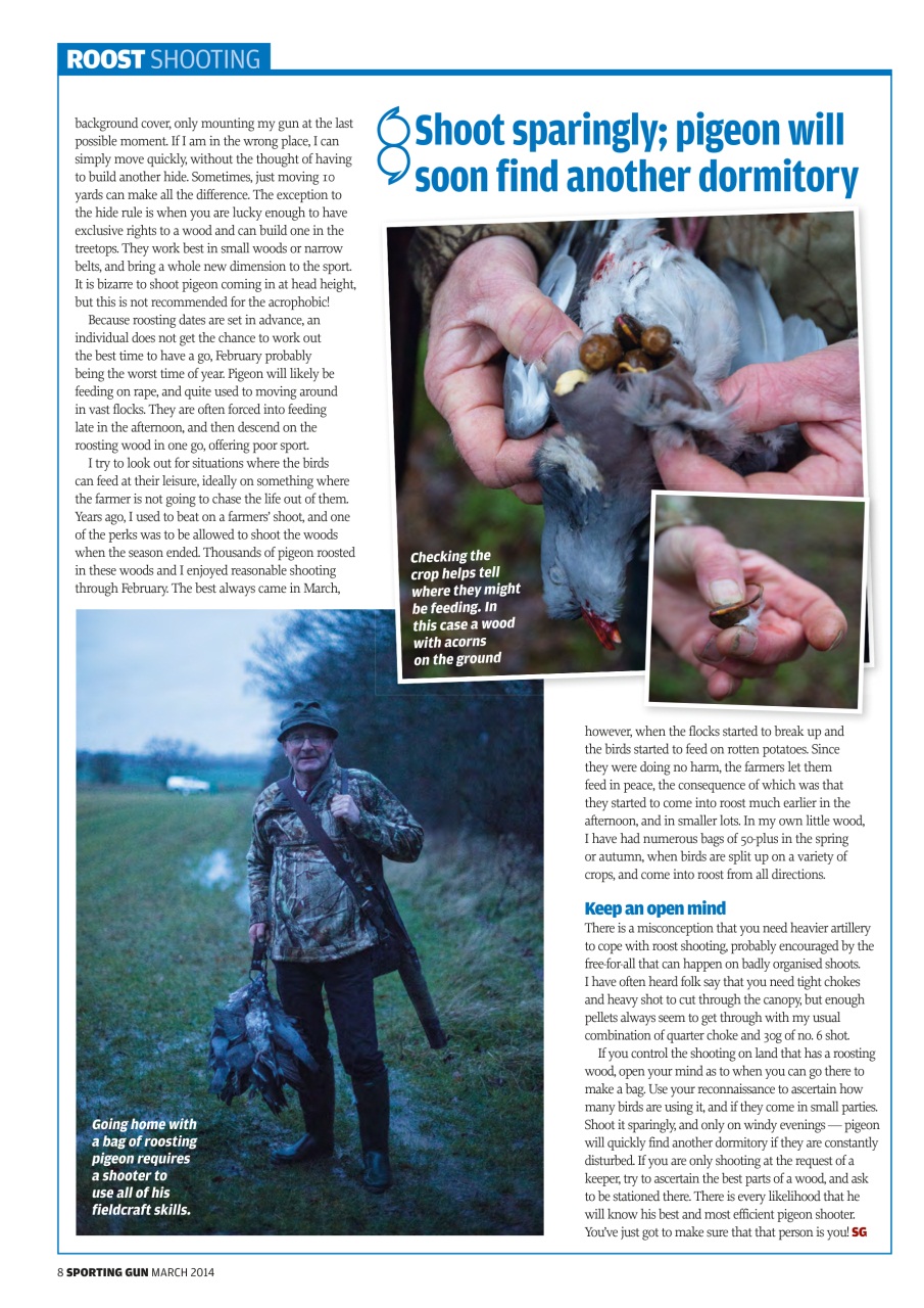 Sporting Gun Preview Pages