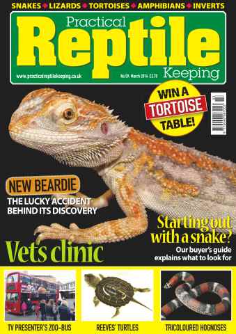Practical Reptile Keeping issue No.59 Vet's Clinic