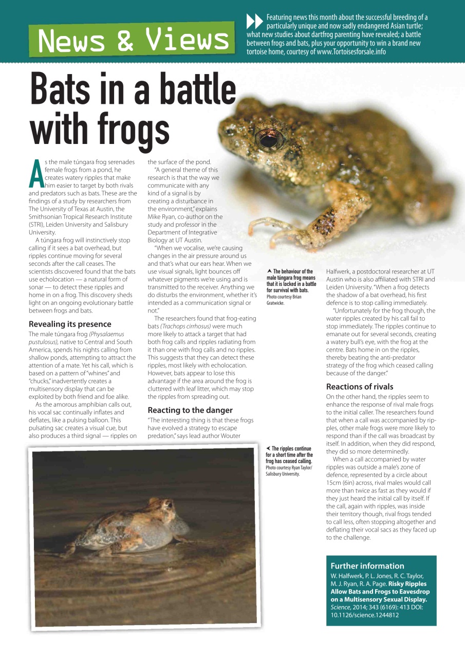 Practical Reptile Keeping Preview Pages
