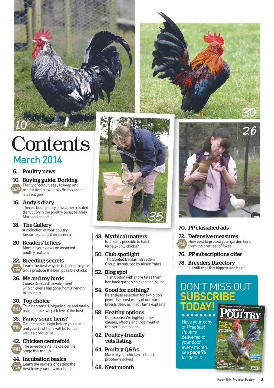 Practical Poultry Preview Pages