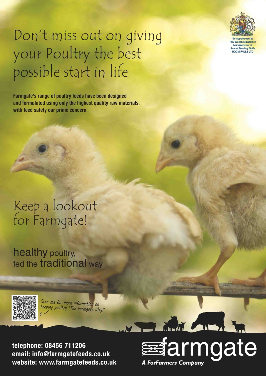 Practical Poultry Preview Pages