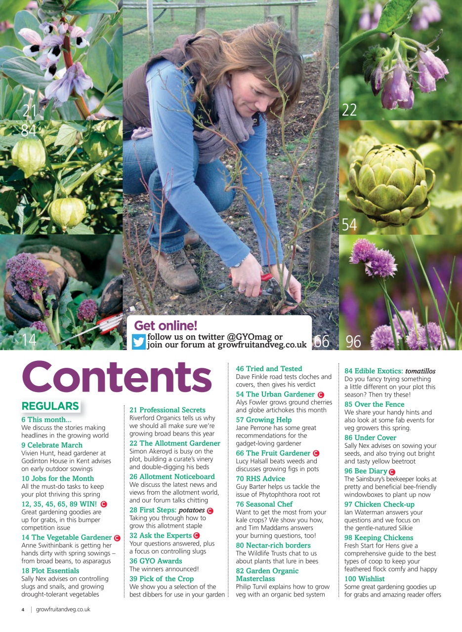 Grow Your Own Preview Pages