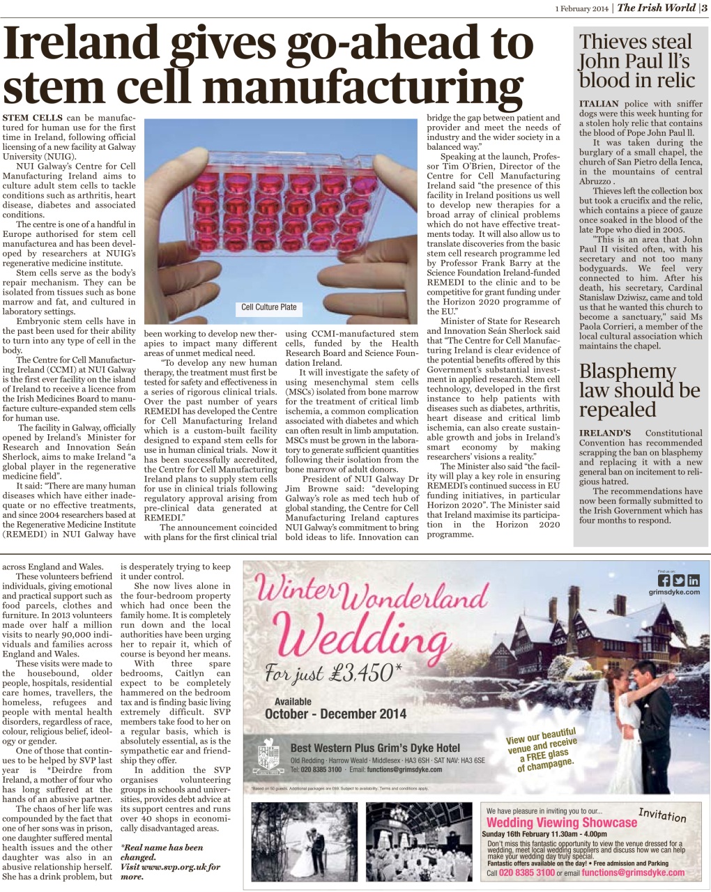 Irish World Preview Pages