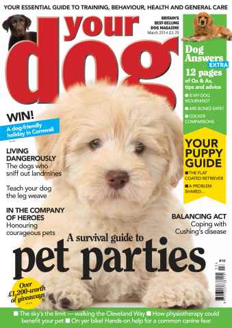 Your Dog issue Your Dog Magazine March 2014