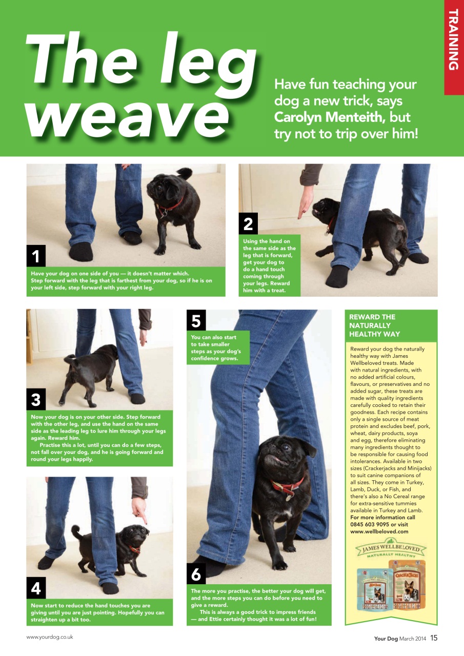 Your Dog Preview Pages