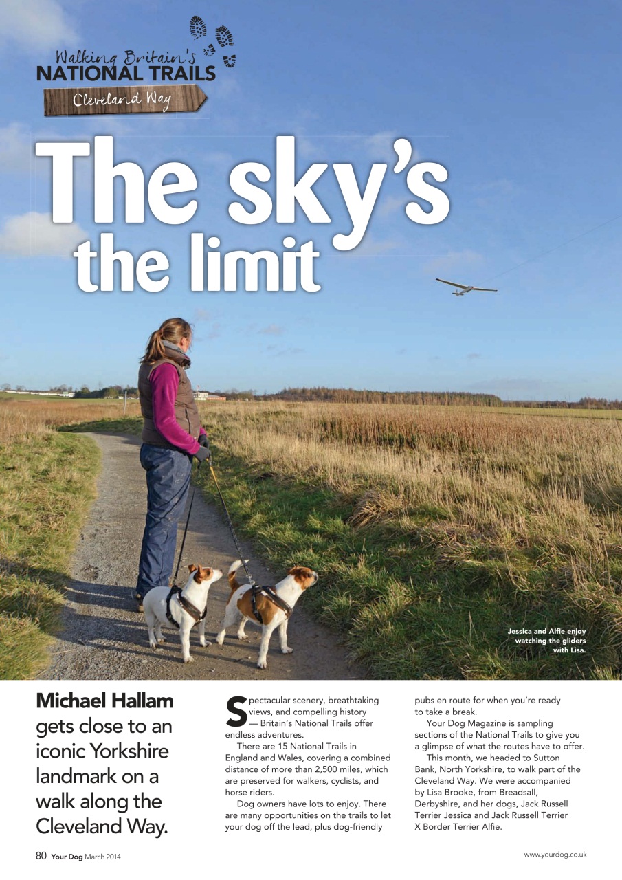 Your Dog Preview Pages