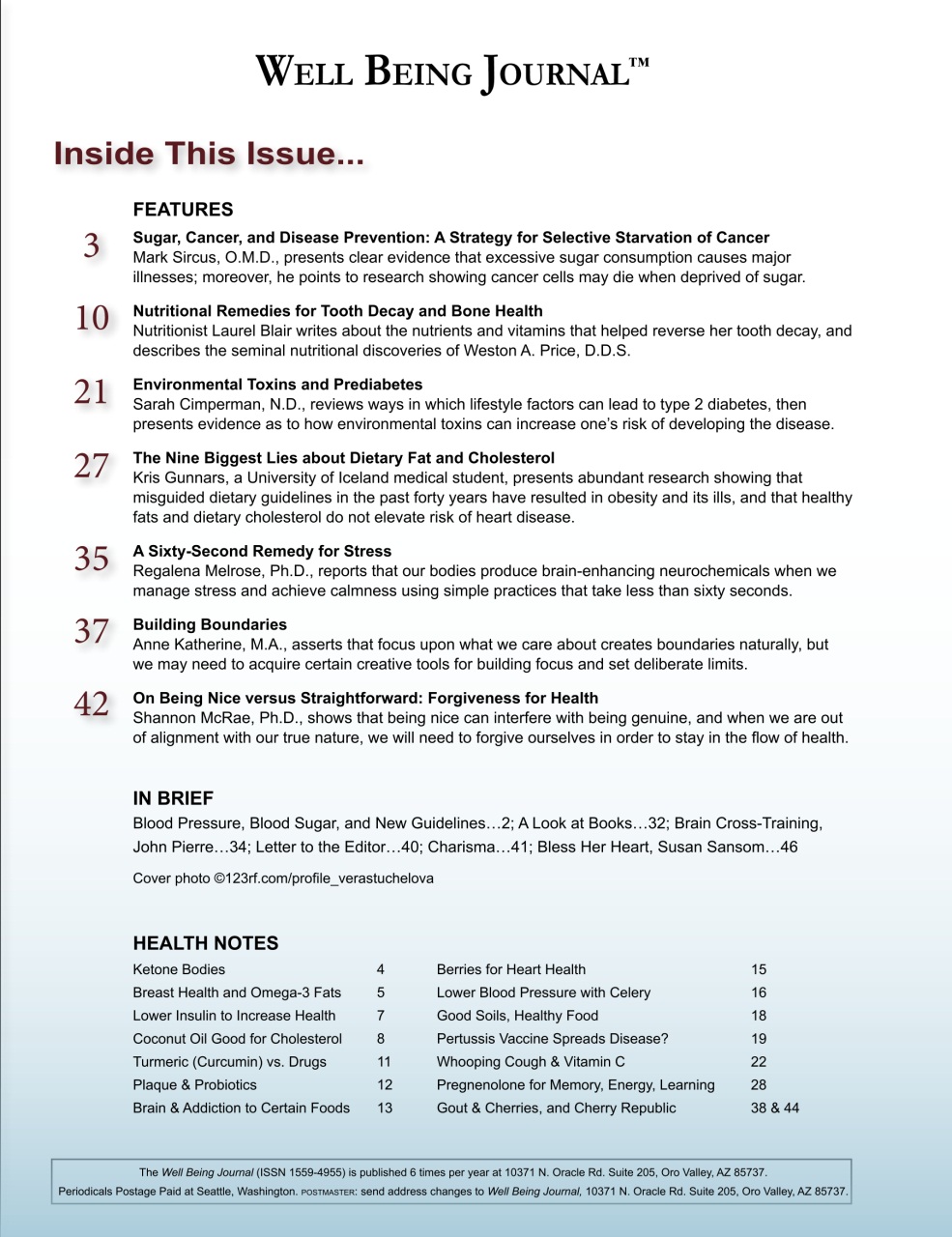 Well Being Journal Preview Pages