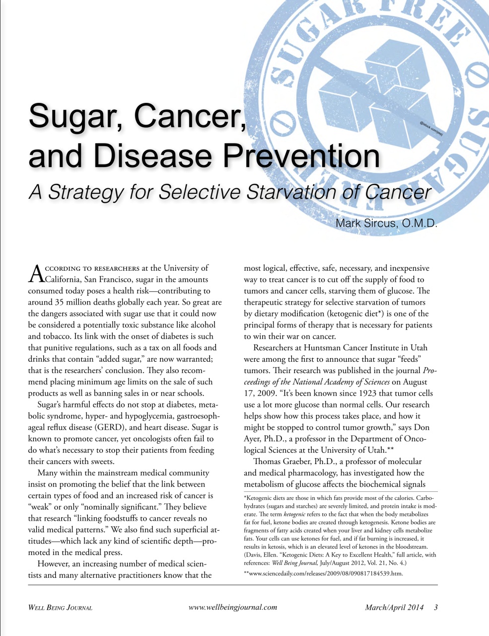 Well Being Journal Preview Pages