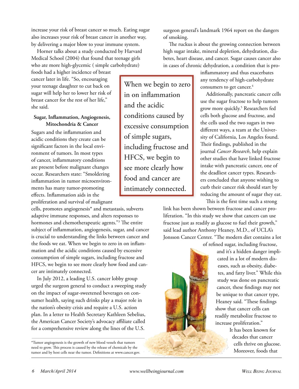 Well Being Journal Preview Pages