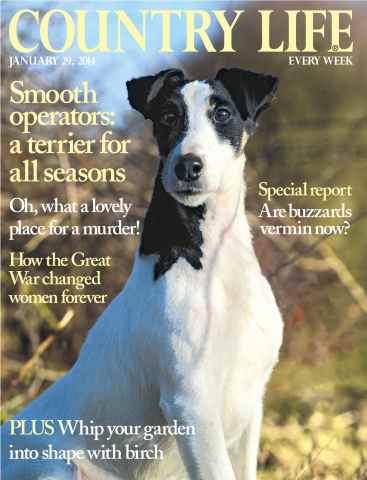 Country Life issue 29th January 2014