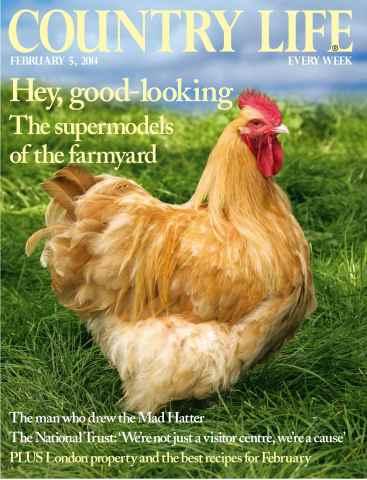 Country Life issue 5th February 2014