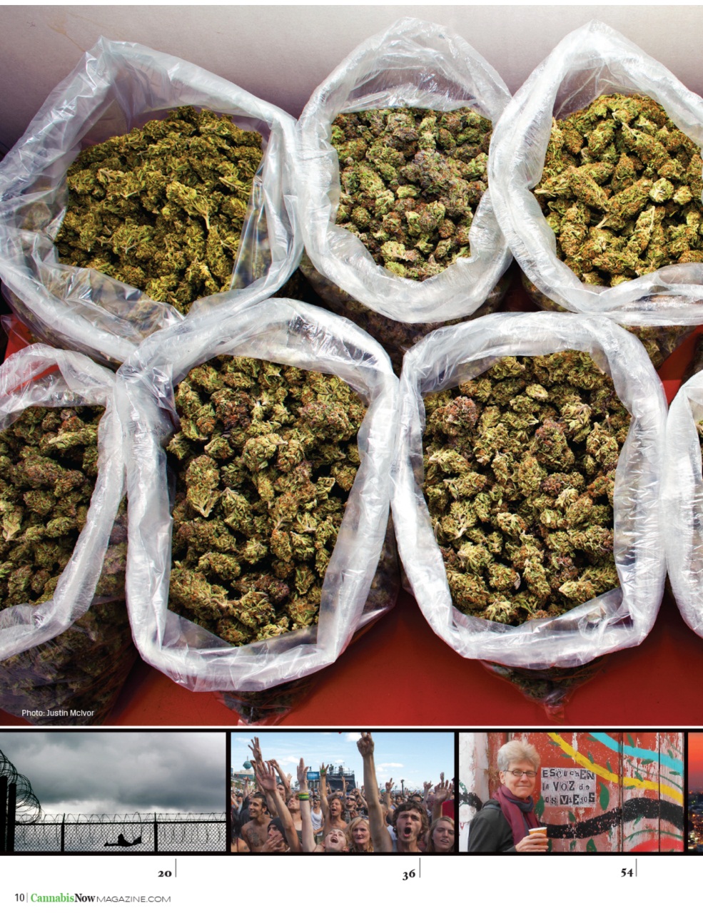 Cannabis Now Preview Pages