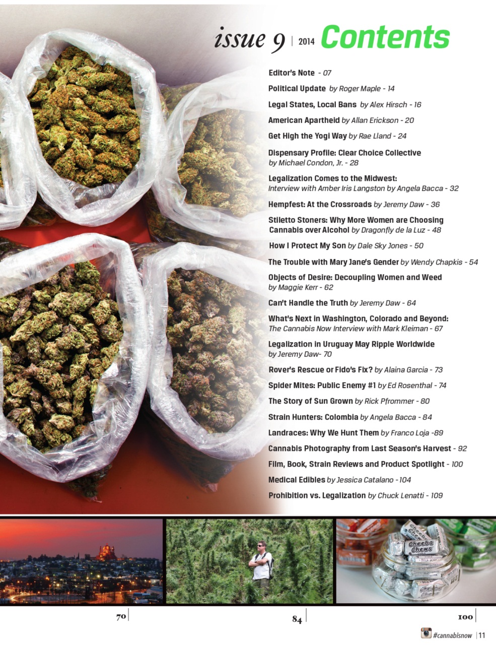 Cannabis Now Preview Pages