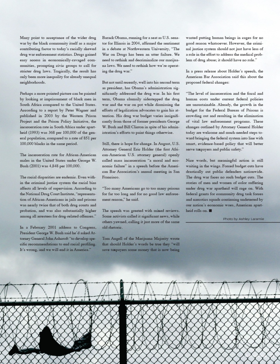 Cannabis Now Preview Pages