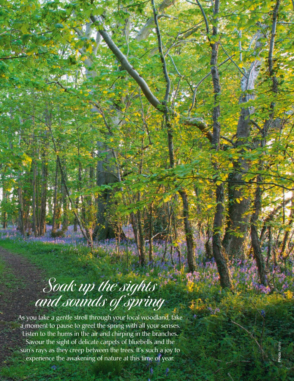 LandLove Magazine Preview Pages