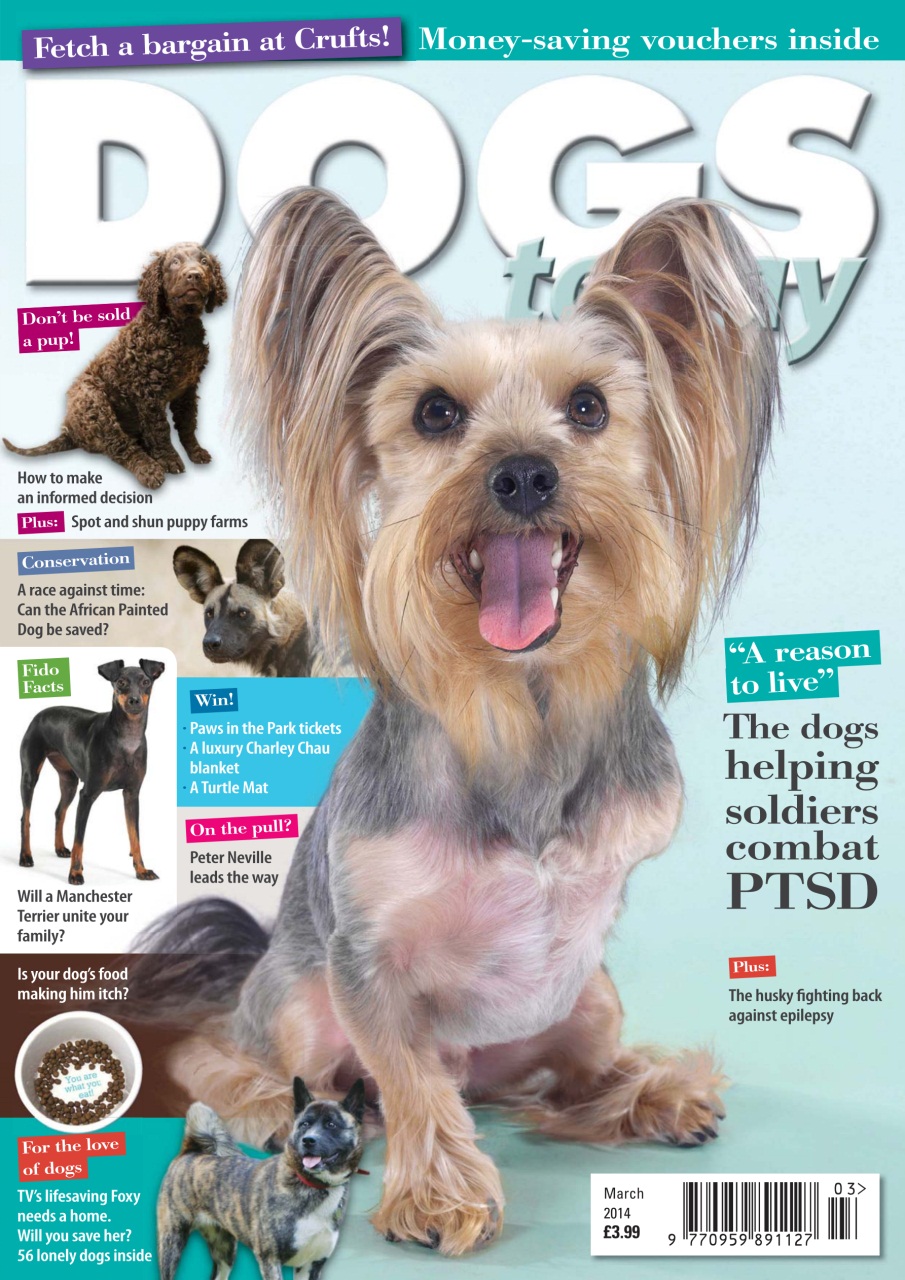 Dogs Today Magazine Preview Pages