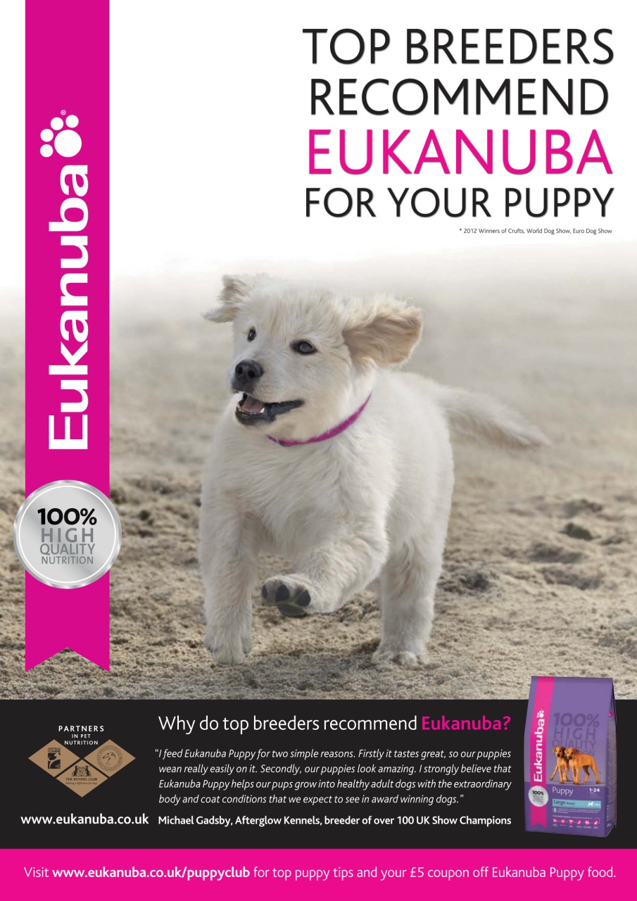 Dogs Today Magazine Preview Pages