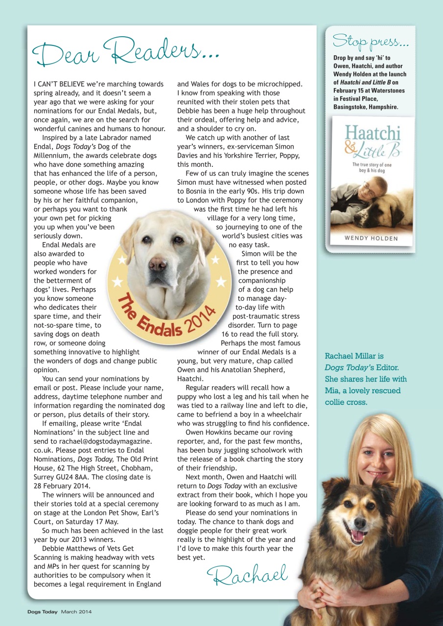 Dogs Today Magazine Preview Pages