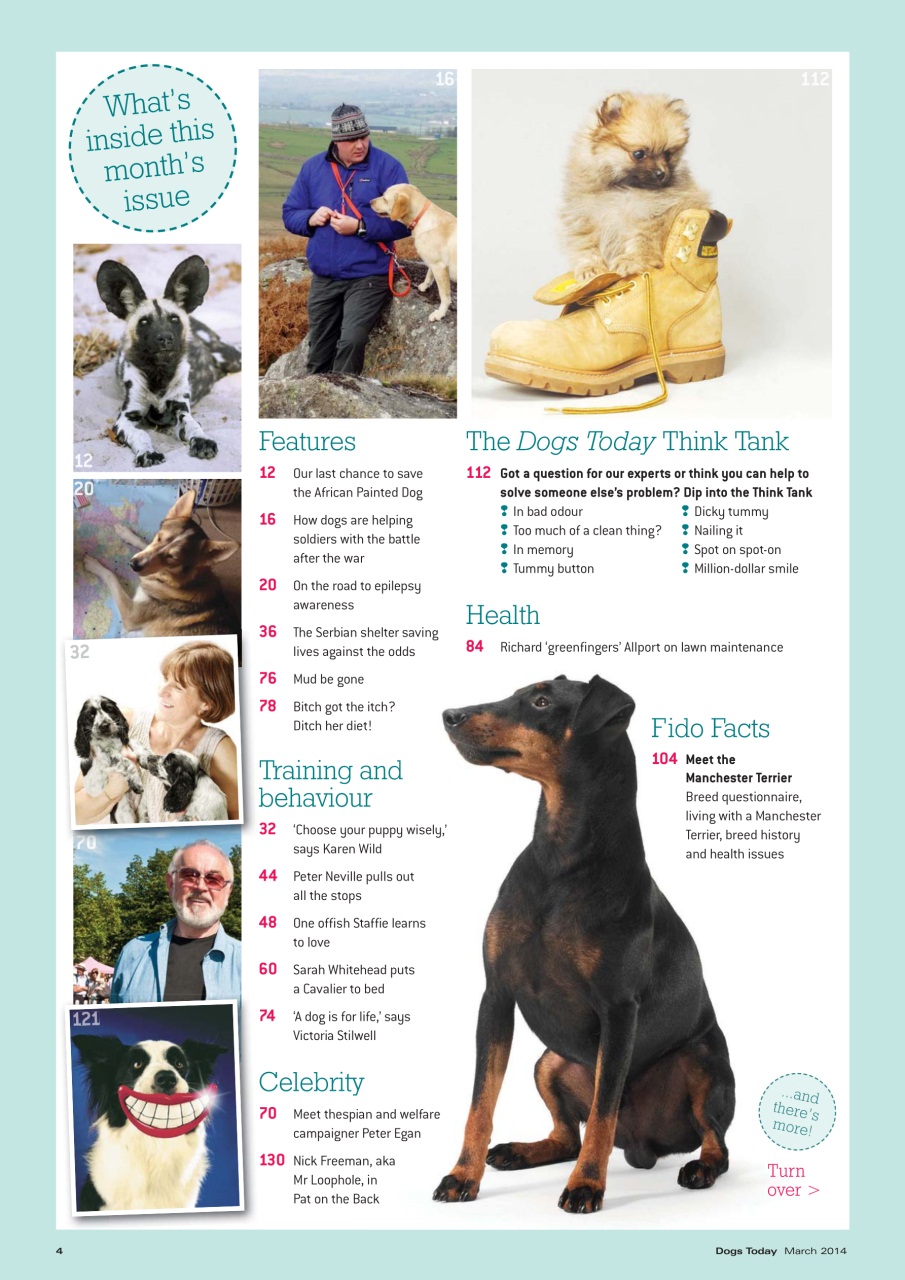 Dogs Today Magazine Preview Pages