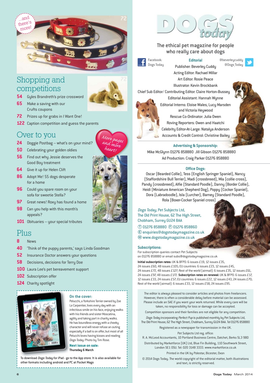 Dogs Today Magazine Preview Pages