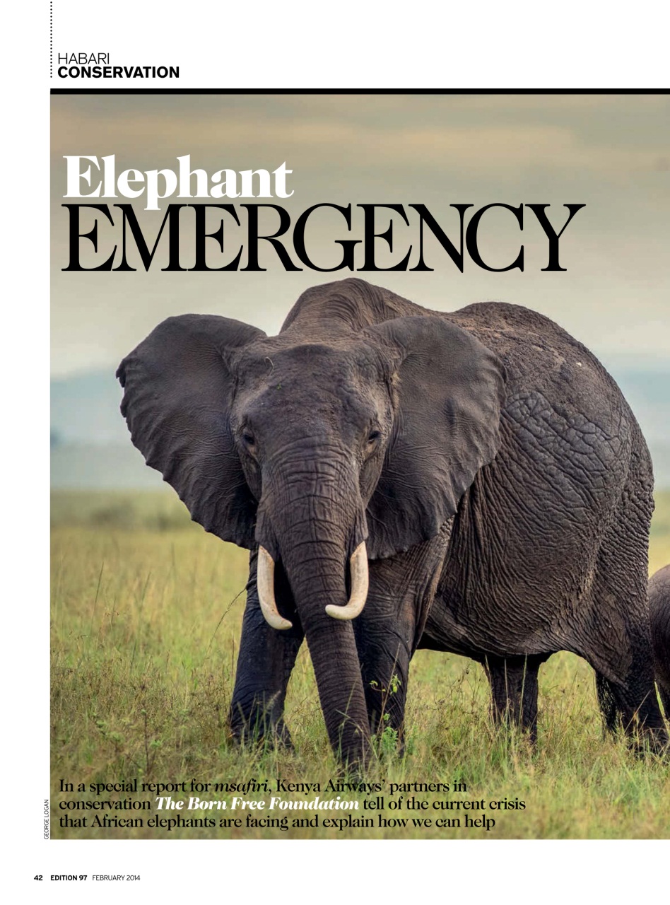 MSAFIRI – Kenya Airways Inflight Preview Pages