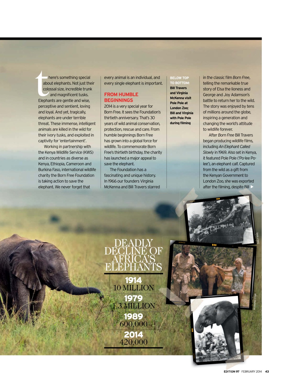 MSAFIRI – Kenya Airways Inflight Preview Pages