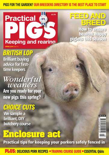 Practical Pigs issue 